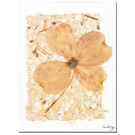 Trademark Fine Art Dogwood on Paper by Kathier McCurdy 18x24 Art Ready to Hang!, 18x24 KM070-C1824GG